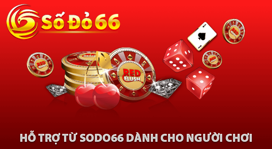 Hỗ Trợ Từ Sodo66 Dành Cho Người Chơi